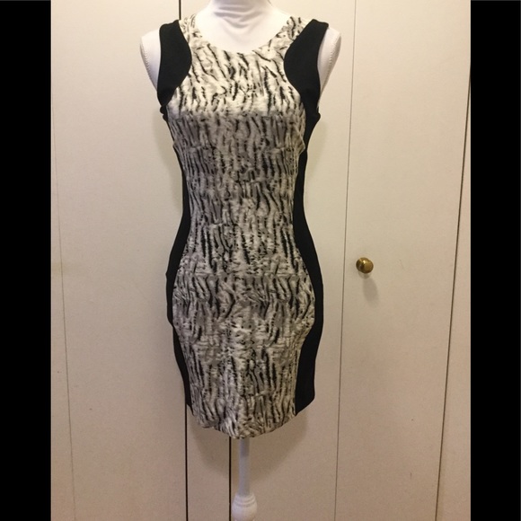 Parker Zebra Tank Dress, sz 2 - Picture 3 of 5